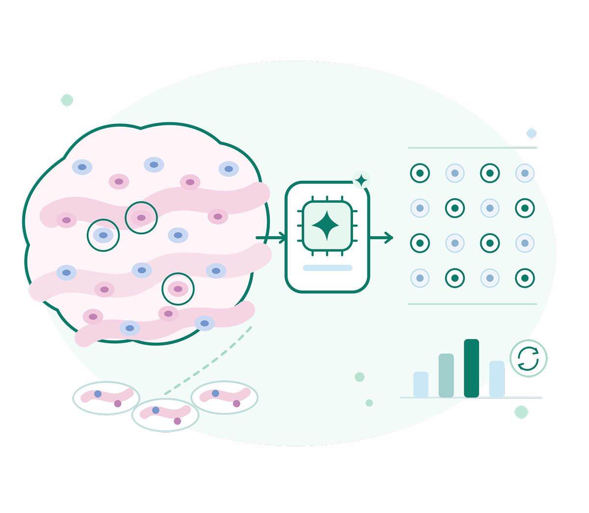Illustration of tissue image analyzed by AI chip producing quantified cell markers and bar chart for drug discovery workflows