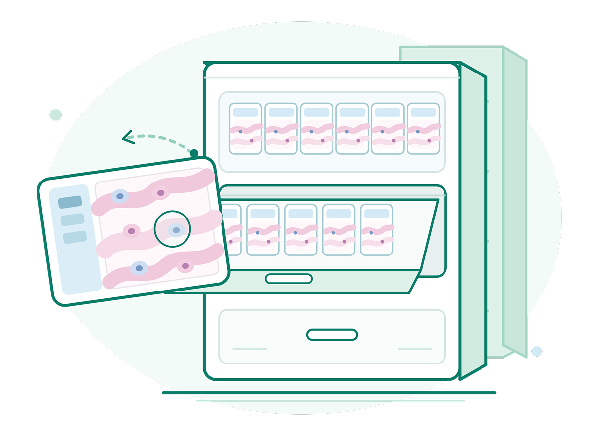 Graphic showing a centralized slide repository for enterprise digital pathology with slide thumbnails and retrieval interface