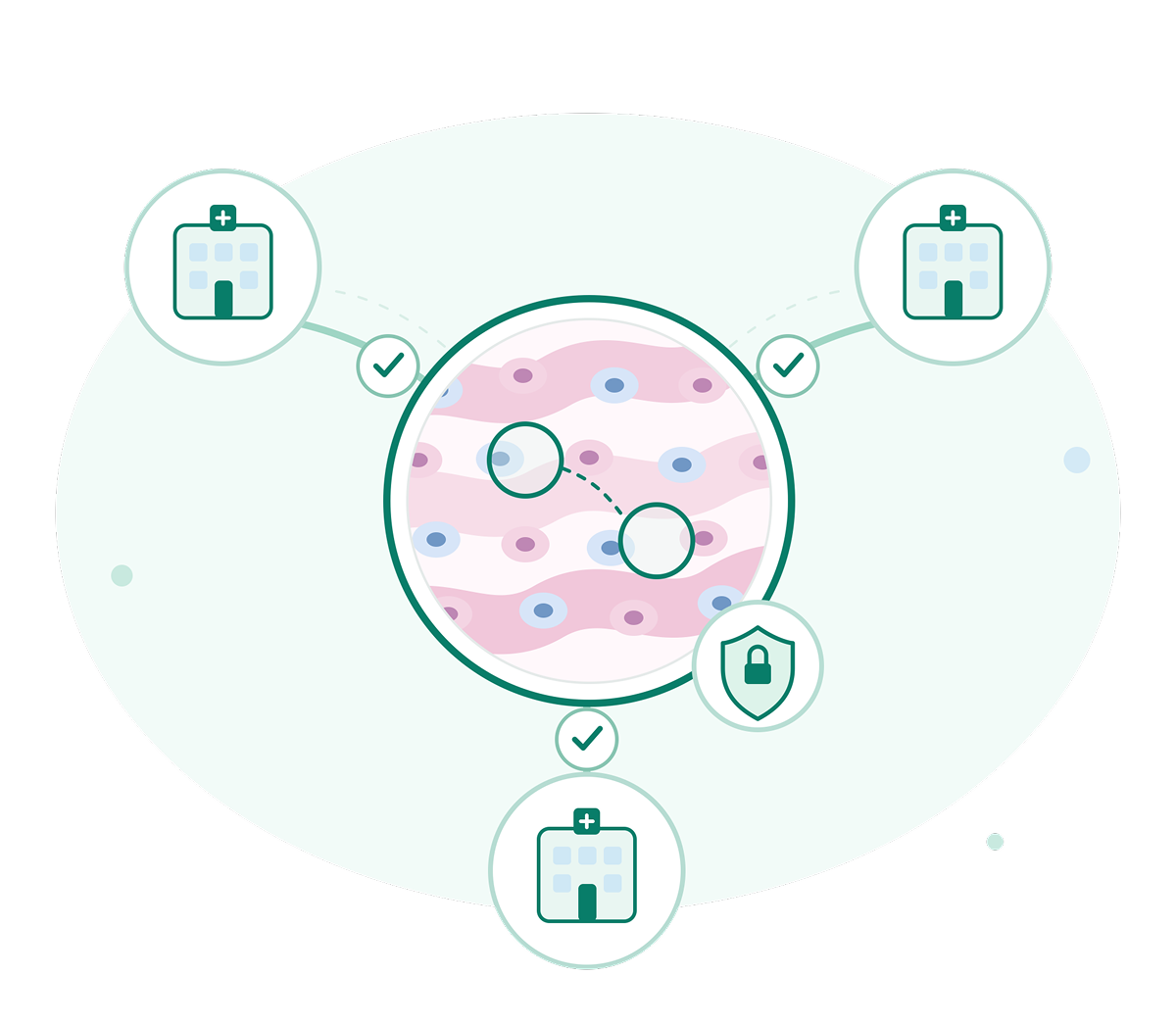 Clinical trial pathology workflow showing digital tissue review, centralized collaboration and secure data