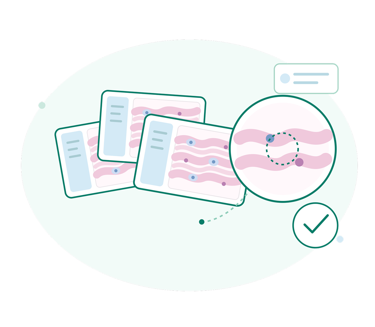 Digital pathology slides for clinical research with magnified view