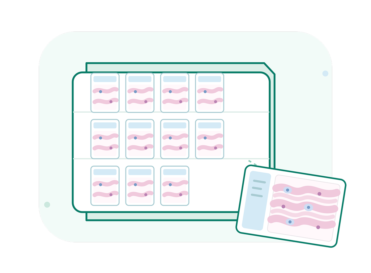 A clean teal-and-white infographic shows a tray holding 11 small cards with pink wavy patterns and an enlarged tilted card, with a calm, clinical tone.
