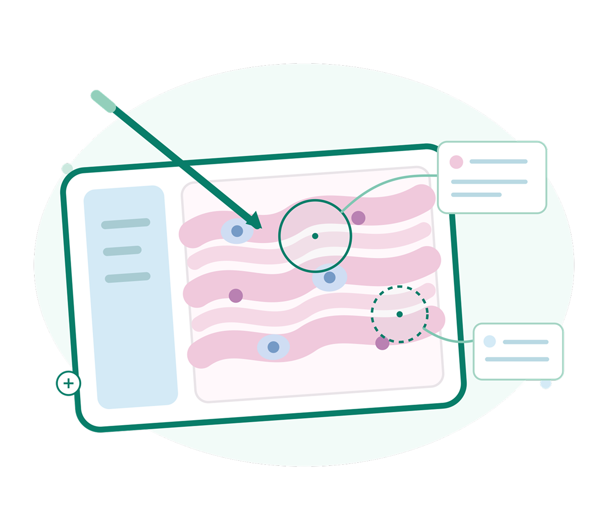 Tablet view of annotated histology slide with faculty highlights, arrows and callouts for guided pathology teaching