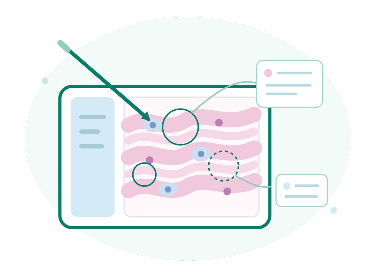 Wavy pink tissue graphic with circle annotations and callout lines connected to a tablet interface.