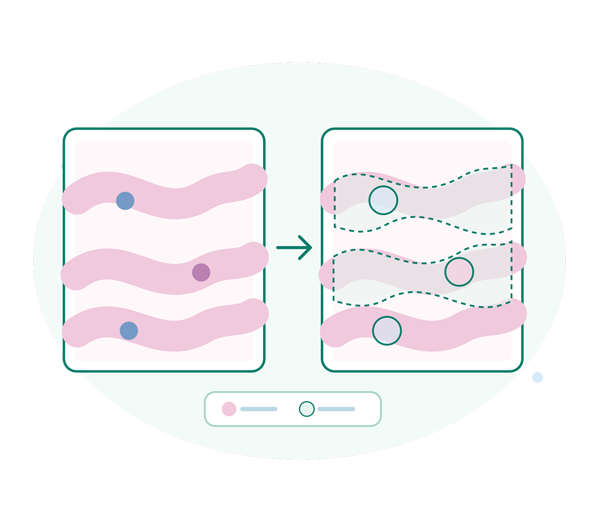 AI pathology image analysis: digital slide segmentation with AI