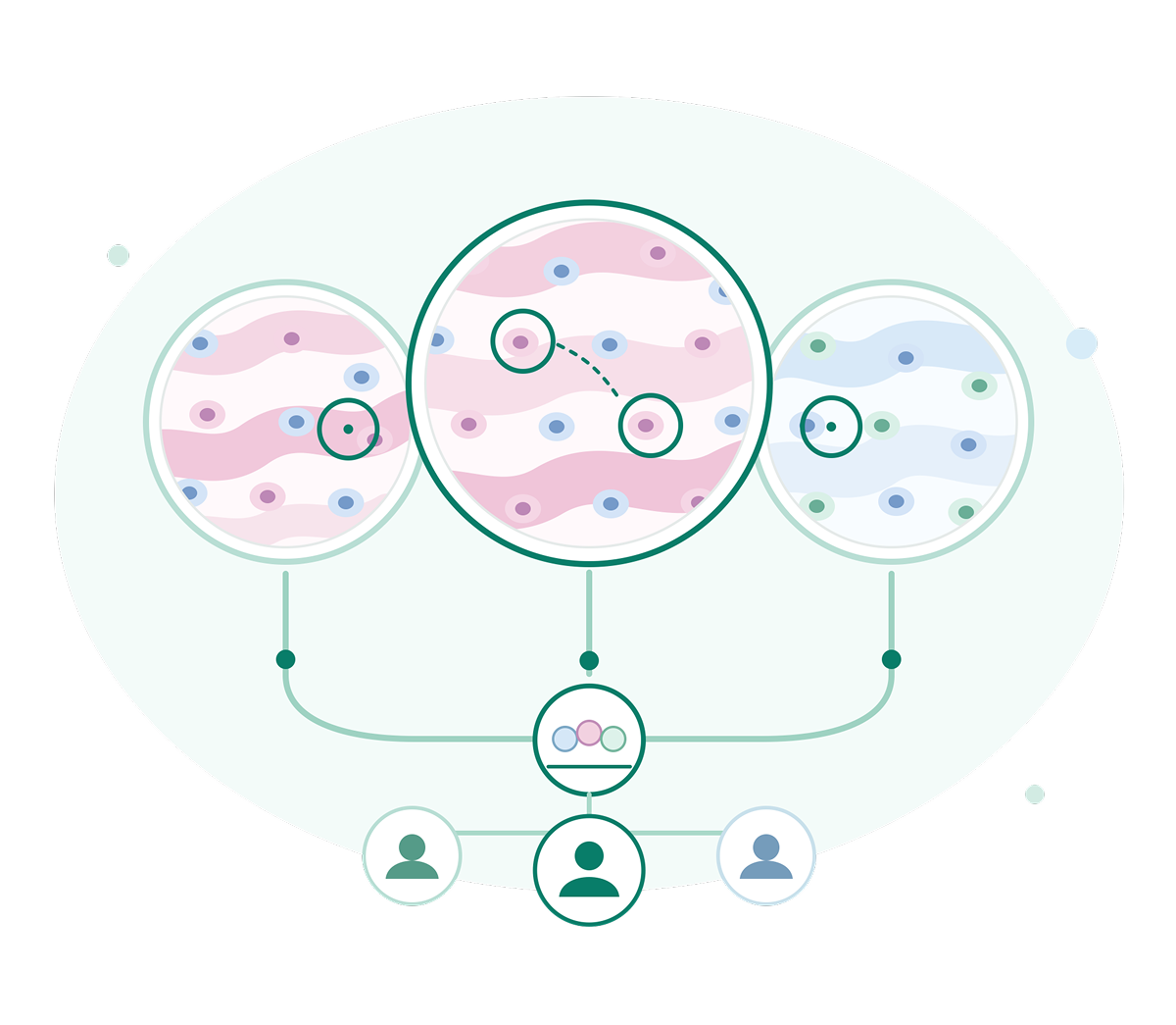 Linked tissue slide images for preclinical studies with AI-assisted quantification and researcher collaboration icons