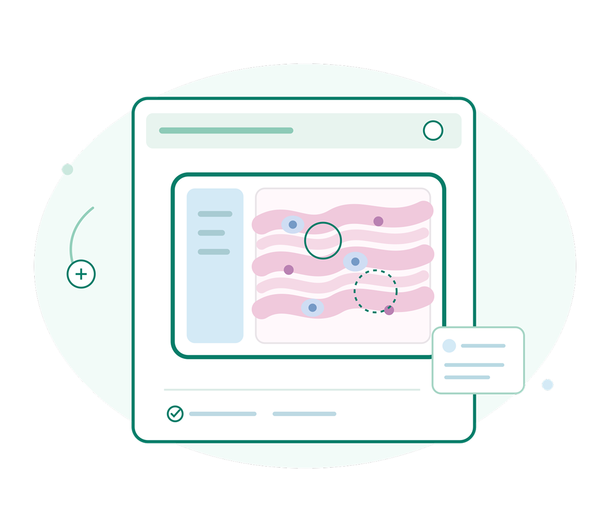Digital pathology education platform with virtual microscopy view.