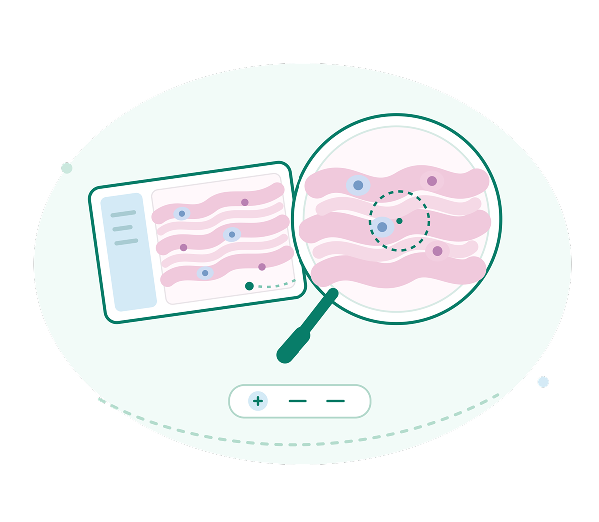 Digital pathology education: virtual microscopy and medical training platform
