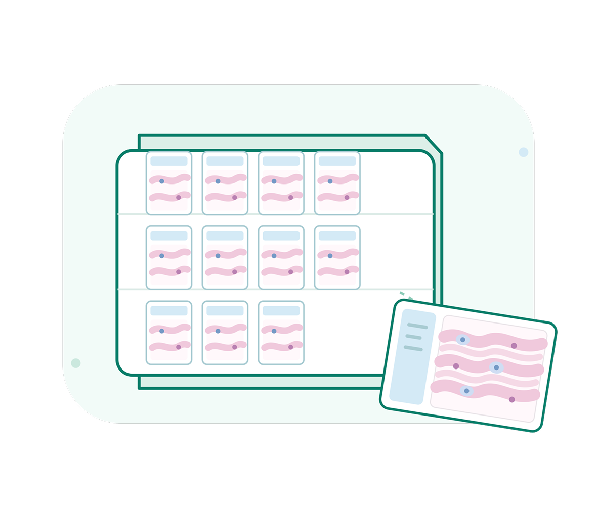A teal organizer displays eleven pastel cards with pink wavy lines and blue bars; one card tilts forward, creating a clean, calm infographic style.