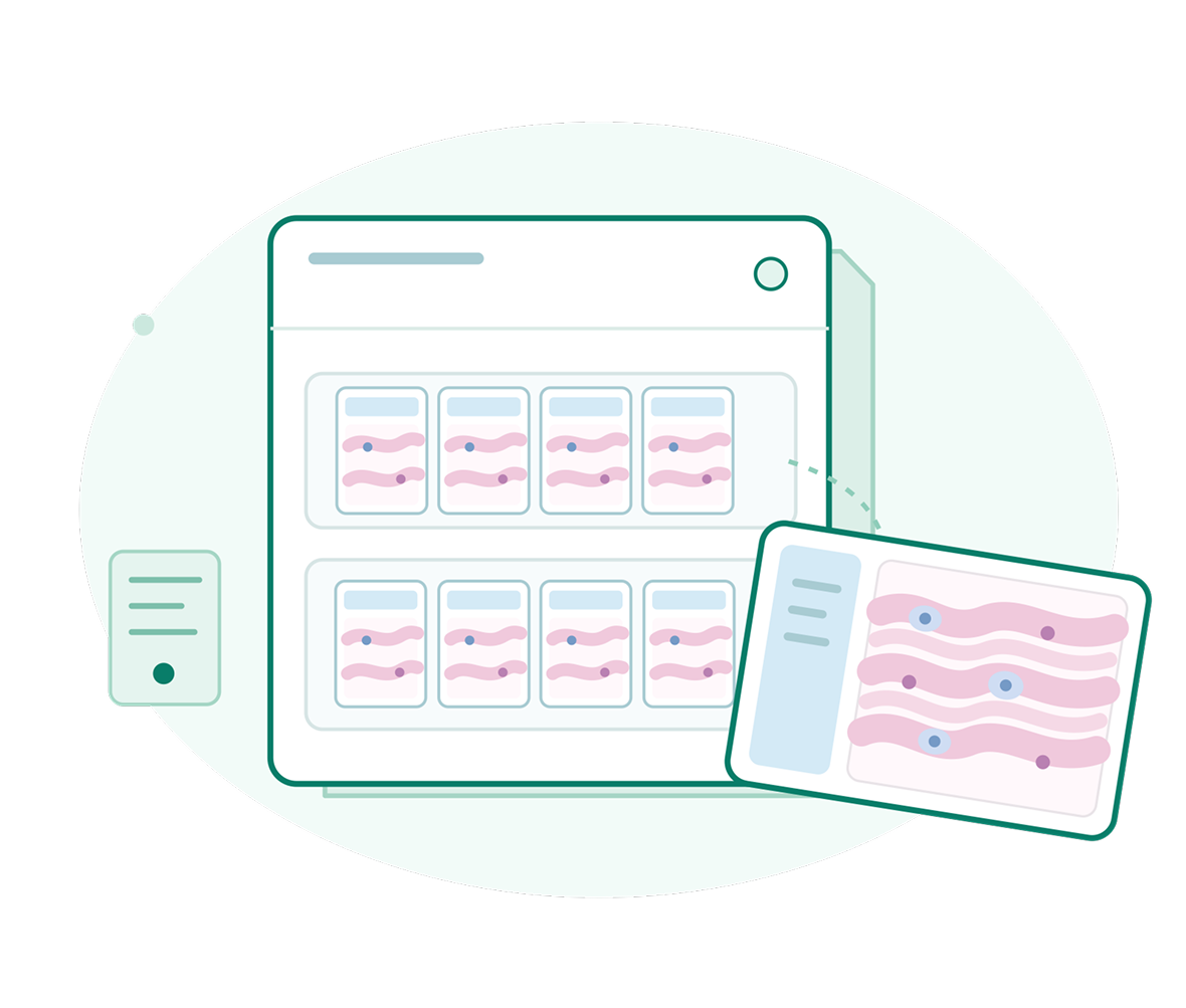 Illustration of a skincare app showing product cards and a tilted detail panel with a pink skin-layer diagram, suggesting a calm, personalized skincare guide.