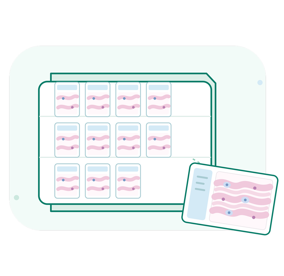 Digital slide archive interface with a grid of annotated histology slide thumbnails and an enlarged slide preview