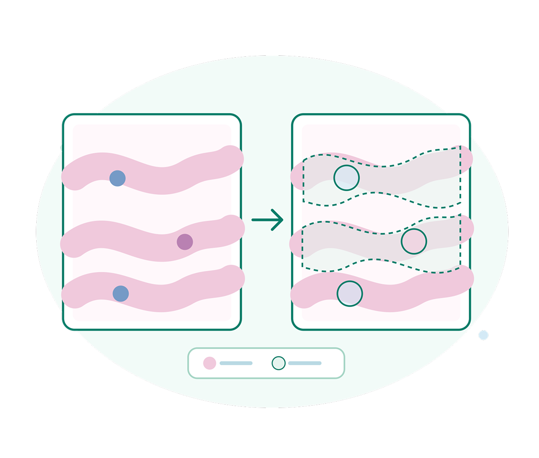 Diagram on a pale oval background shows three pink wavy bands changing into dashed outlines with teal circles; an arrow points right, with a small legend below.